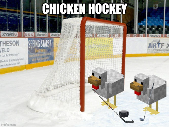 Hockey Goal | CHICKEN HOCKEY | image tagged in hockey goal | made w/ Imgflip meme maker