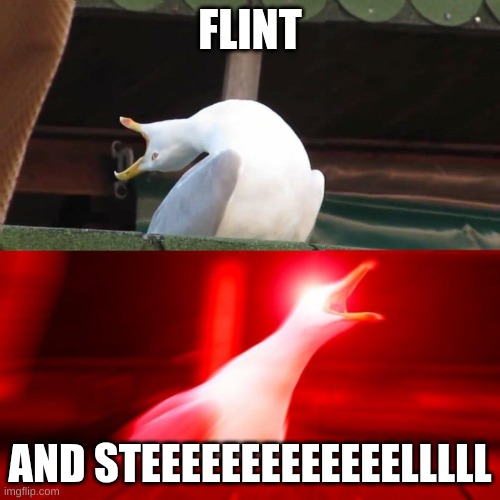 Flint and Steel | FLINT; AND STEEEEEEEEEEEEELLLLL | image tagged in boy seagull,inhaling seagull | made w/ Imgflip meme maker