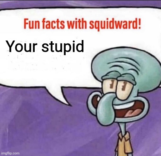 Fun Facts with Squidward | Your stupid | image tagged in fun facts with squidward | made w/ Imgflip meme maker