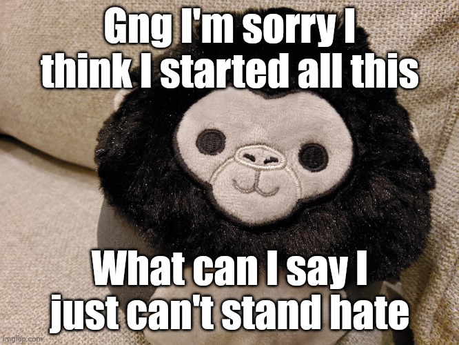 Hate in any way, shape, or form is never okay, but I'm sorry for starting all this. | Gng I'm sorry I think I started all this; What can I say I just can't stand hate | image tagged in gorilla plush | made w/ Imgflip meme maker