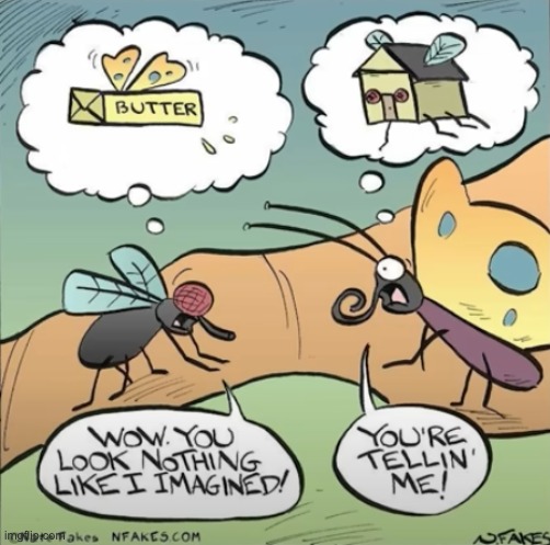 butterfly and housefly | made w/ Imgflip meme maker