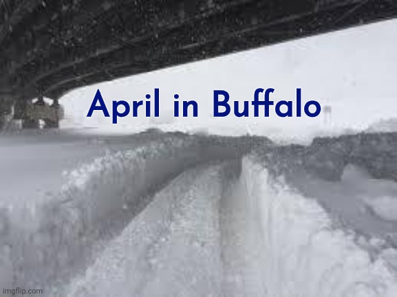 Buffalo Snowstorm | April in Buffalo | image tagged in buffalo snowstorm | made w/ Imgflip meme maker