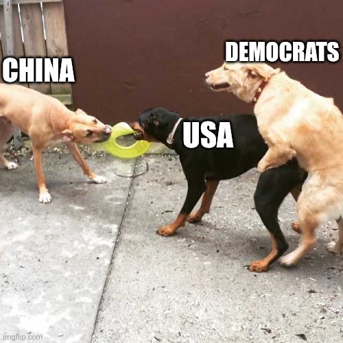 Three Dog | CHINA USA DEMOCRATS | image tagged in three dog | made w/ Imgflip meme maker
