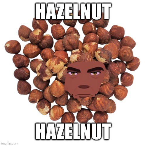 HAZELNUT; HAZELNUT | image tagged in memes,hazelnut,lord | made w/ Imgflip meme maker