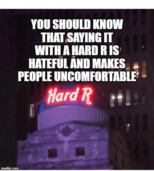 advice animal | YOU SHOULD KNOW THAT SAYING IT WITH A HARD R IS HATEFUL AND MAKES PEOPLE UNCOMFORTABLE | image tagged in hard r | made w/ Imgflip meme maker