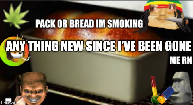 bread high | ANY THING NEW SINCE I'VE BEEN GONE | image tagged in bread high | made w/ Imgflip meme maker