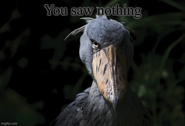 shoebill | You saw nothing | image tagged in shoebill | made w/ Imgflip meme maker