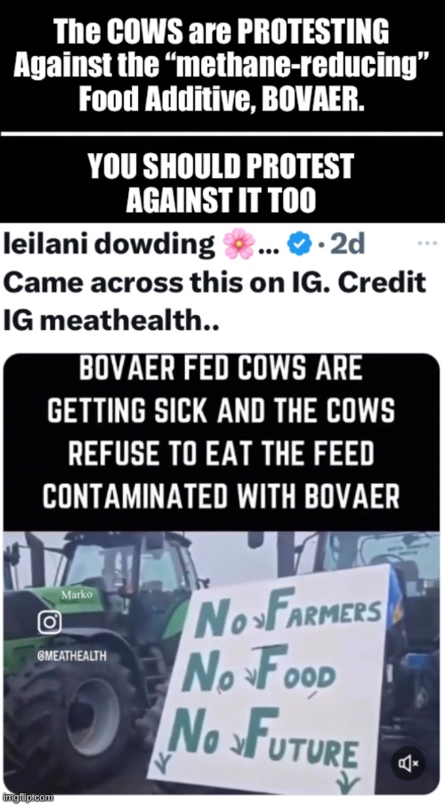 Who allows this to happen?! | image tagged in memes,anti human pos gates,leave the world alone,hands off the animals,why do leftists always want to control | made w/ Imgflip meme maker