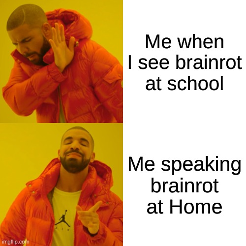 Drake Understands | Me when I see brainrot at school; Me speaking brainrot at Home | image tagged in memes,drake hotline bling | made w/ Imgflip meme maker