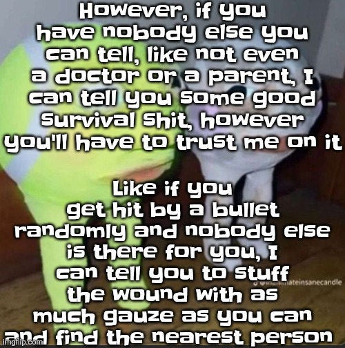 Yeah so I can also halfway be like a survival guide | However, if you have nobody else you can tell, like not even a doctor or a parent, I can tell you some good survival shit, however you'll have to trust me on it; Like if you get hit by a bullet randomly and nobody else is there for you, I can tell you to stuff the wound with as much gauze as you can and find the nearest person | image tagged in ball | made w/ Imgflip meme maker