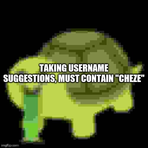 Low Quality Barfing Turtle | TAKING USERNAME SUGGESTIONS, MUST CONTAIN "CHEZE" | image tagged in low quality barfing turtle | made w/ Imgflip meme maker