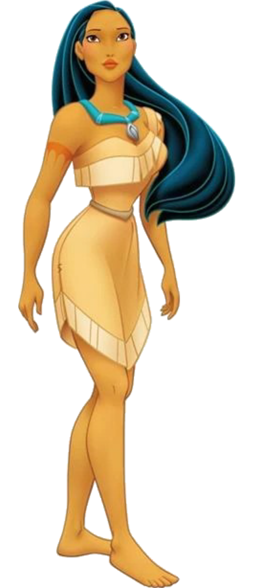 Pocahontas Blank Meme Template