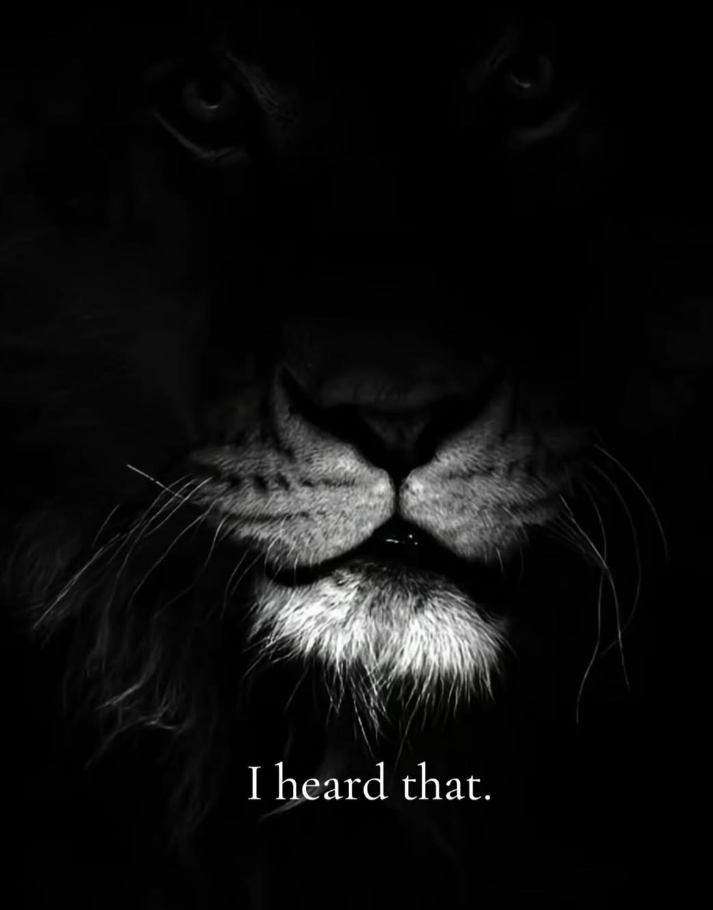 the lion heard you Blank Meme Template