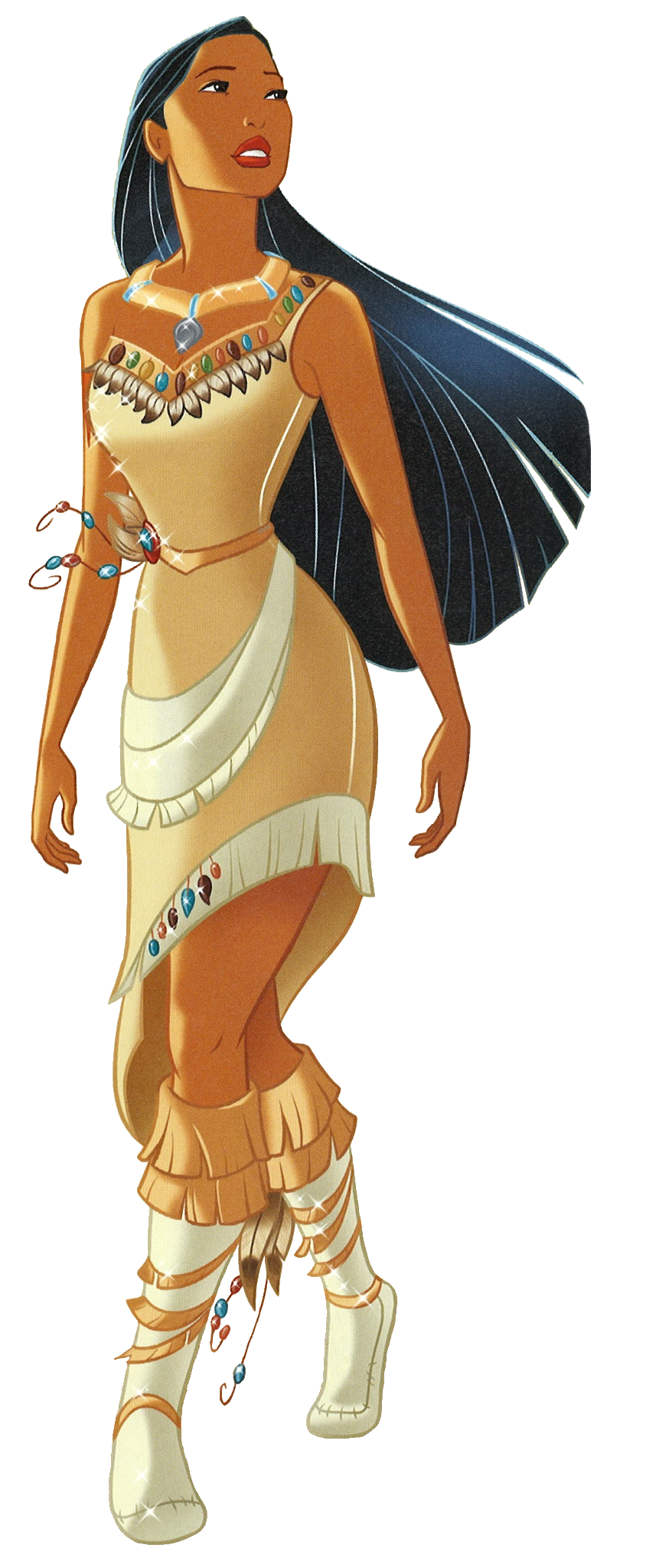 Pocahontas Blank Meme Template