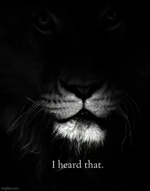 the lion heard you | image tagged in the lion heard you | made w/ Imgflip meme maker