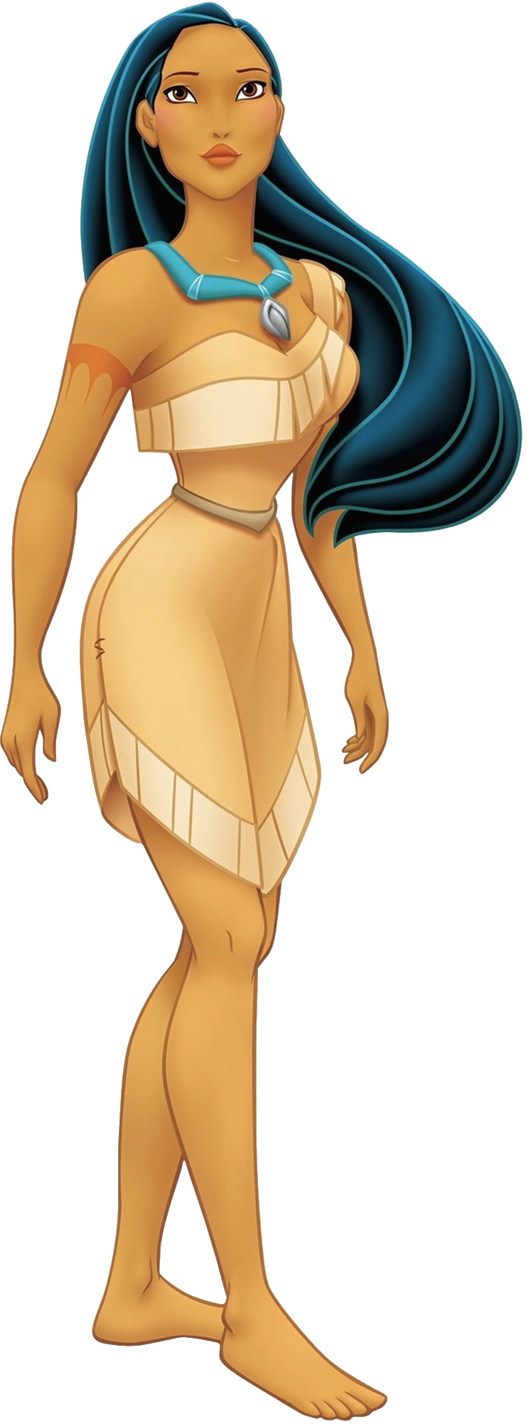Pocahontas Blank Meme Template