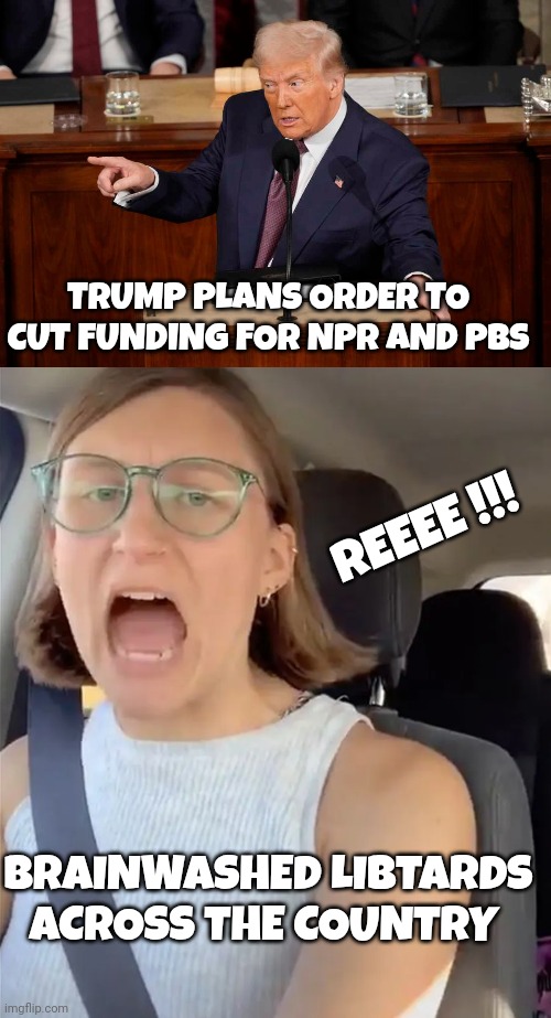 Donald Trump | TRUMP PLANS ORDER TO CUT FUNDING FOR NPR AND PBS; REEEE !!! BRAINWASHED LIBTARDS ACROSS THE COUNTRY | image tagged in unhinged liberal lunatic idiot woman meltdown screaming in car | made w/ Imgflip meme maker