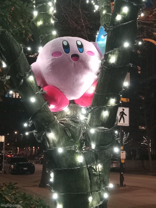 kirby in da tree. kirbtree, if you will | made w/ Imgflip meme maker