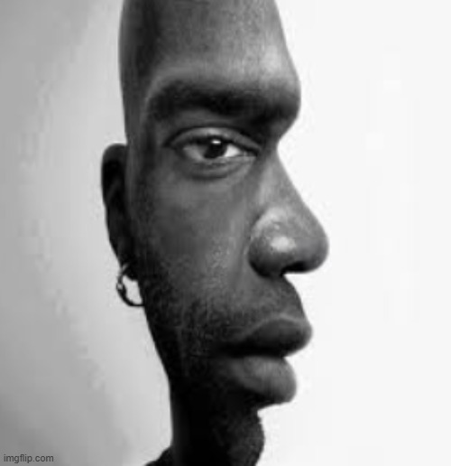 Double Imij | image tagged in double image,imij | made w/ Imgflip meme maker