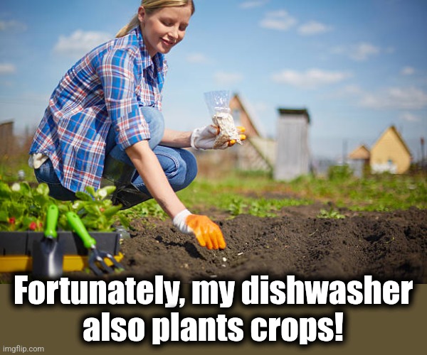 Fortunately, my dishwasher
also plants crops! | made w/ Imgflip meme maker