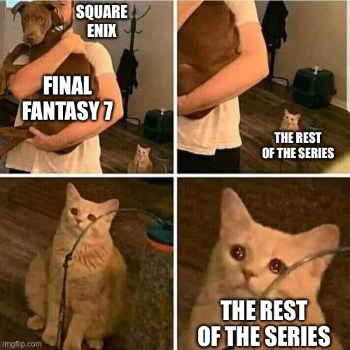 There is some clear favoritism going on with the series. | SQUARE ENIX; FINAL FANTASY 7; THE REST OF THE SERIES; THE REST OF THE SERIES | image tagged in sad cat holding dog | made w/ Imgflip meme maker