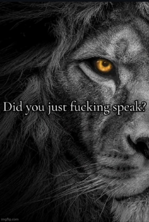 The lion heard you speak | image tagged in the lion heard you speak | made w/ Imgflip meme maker