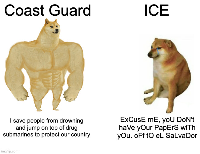 Coast Guard, Best Guard | Coast Guard; ICE; I save people from drowning and jump on top of drug submarines to protect our country; ExCusE mE, yoU DoN't haVe yOur PapErS wiTh yOu. oFf tO eL SaLvaDor | image tagged in memes,buff doge vs cheems,coast guard,ice,politics,military | made w/ Imgflip meme maker