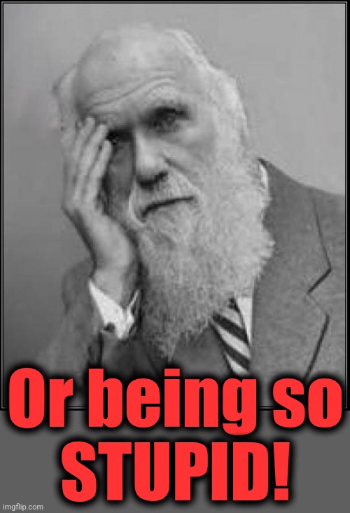 darwin facepalm | Or being so
STUPID! | image tagged in darwin facepalm | made w/ Imgflip meme maker
