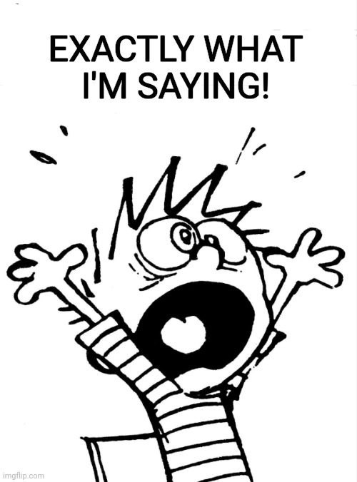 Calvin yelling | EXACTLY WHAT I'M SAYING! | image tagged in calvin yelling | made w/ Imgflip meme maker