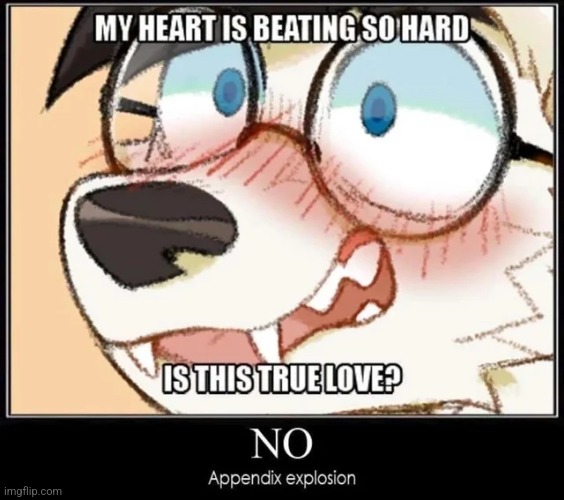 appendicitis is scary | made w/ Imgflip meme maker