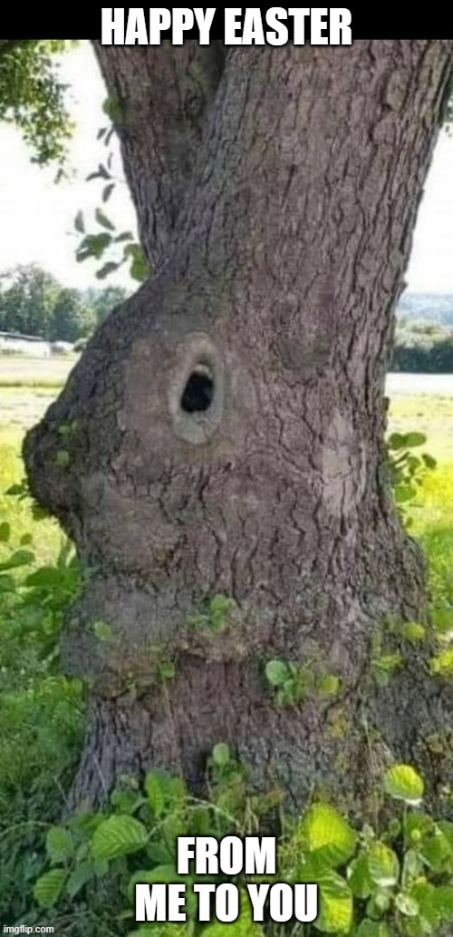 The Easter bunny is now a tree now that Easter is over.  - funny - | image tagged in funny,fun,easter,easter bunny,humor | made w/ Imgflip meme maker