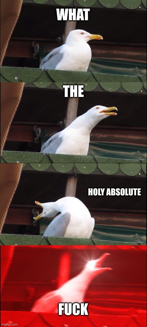 Inhaling Seagull Meme | WHAT THE HOLY ABSOLUTE FUCK | image tagged in memes,inhaling seagull | made w/ Imgflip meme maker