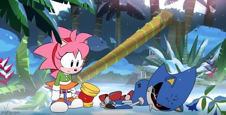 dispose of the body | image tagged in amy rose and metal sonic | made w/ Imgflip meme maker