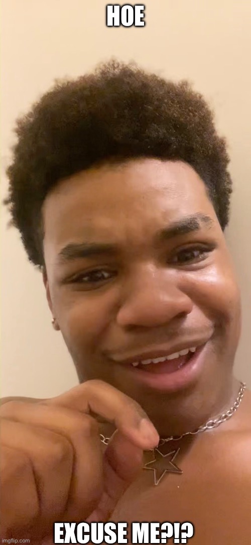 Funny | HOE; EXCUSE ME?!? | image tagged in funny | made w/ Imgflip meme maker