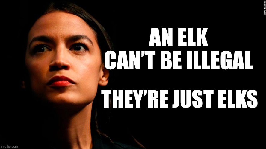 ocasio-cortez super genius | AN ELK CAN’T BE ILLEGAL THEY’RE JUST ELKS | image tagged in ocasio-cortez super genius | made w/ Imgflip meme maker