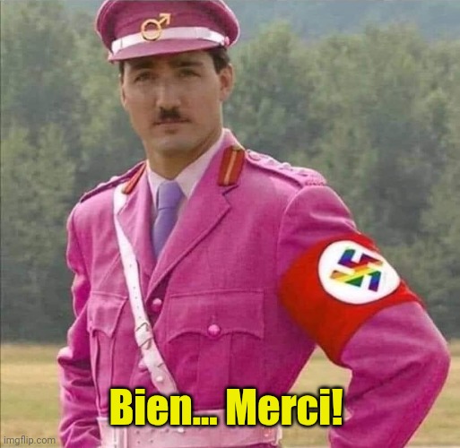 Justin Pierre James Trudeau Canada Prime Minister Dictator | Bien... Merci! | image tagged in justin pierre james trudeau canada prime minister dictator | made w/ Imgflip meme maker