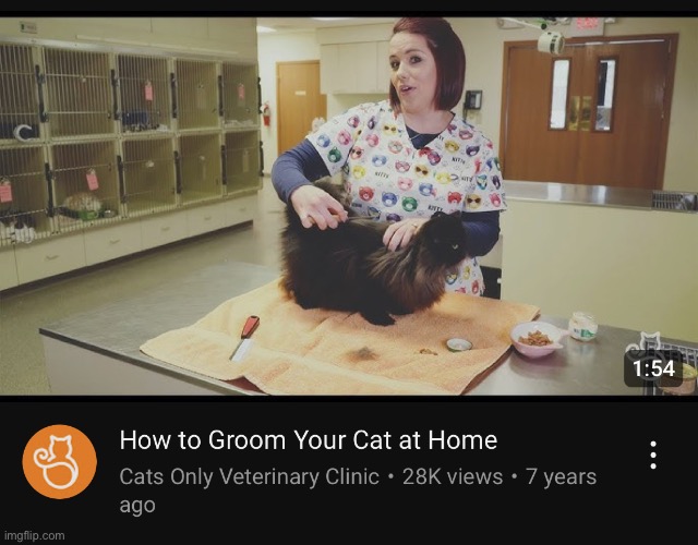 Cat deserves it ngl | made w/ Imgflip meme maker