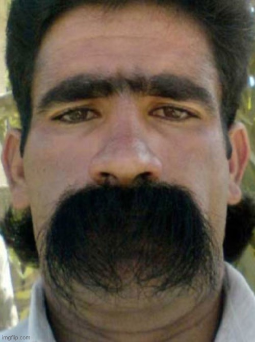 mustache you a question | image tagged in mustache you a question | made w/ Imgflip meme maker
