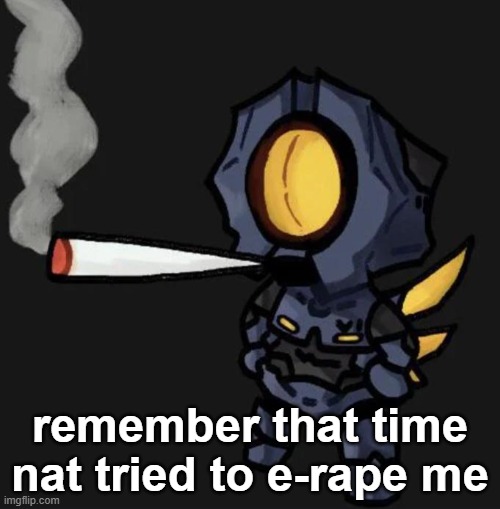 V1 smoking a fat one | remember that time nat tried to e-rape me | image tagged in v1 smoking a fat one | made w/ Imgflip meme maker