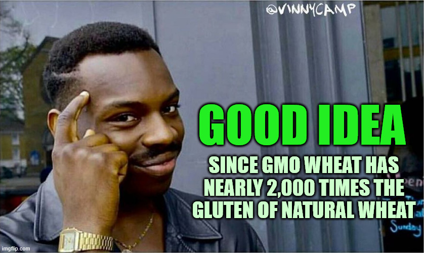 ▬▬comment specific to meme on using rice dough instead of wheat dough | GOOD IDEA SINCE GMO WHEAT HAS NEARLY 2,000 TIMES THE
GLUTEN OF NATURAL WHEAT | image tagged in good idea,gluten,comment | made w/ Imgflip meme maker