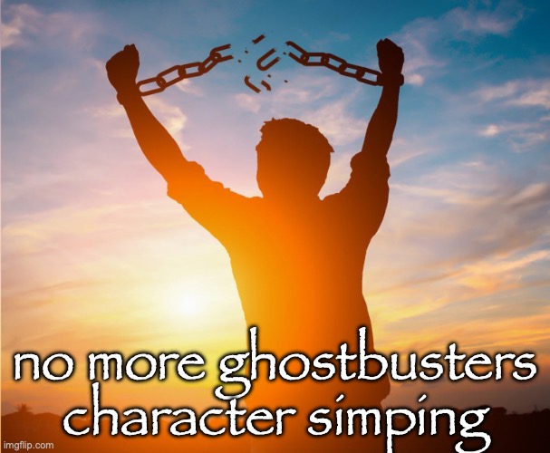 Man breaking free from chains over the sunset | no more ghostbusters character simping | image tagged in man breaking free from chains over the sunset | made w/ Imgflip meme maker