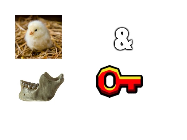 alright chat say it | & | made w/ Imgflip meme maker