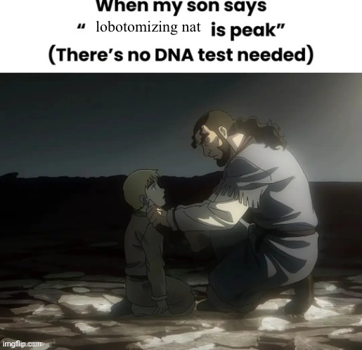 he truly is my son | lobotomizing nat | image tagged in when my son says x is peak there's no dna test needed | made w/ Imgflip meme maker