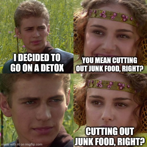LOl | I DECIDED TO GO ON A DETOX; YOU MEAN CUTTING OUT JUNK FOOD, RIGHT? CUTTING OUT JUNK FOOD, RIGHT? | image tagged in anakin padme 4 panel | made w/ Imgflip meme maker