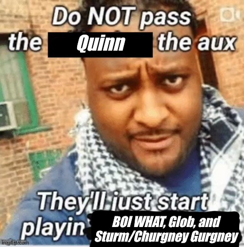 Do not pass the X the aux They’ll just start playin Y | Quinn; BOI WHAT, Glob, and Sturm/Churgney Gurgney | image tagged in do not pass the x the aux they ll just start playin y | made w/ Imgflip meme maker