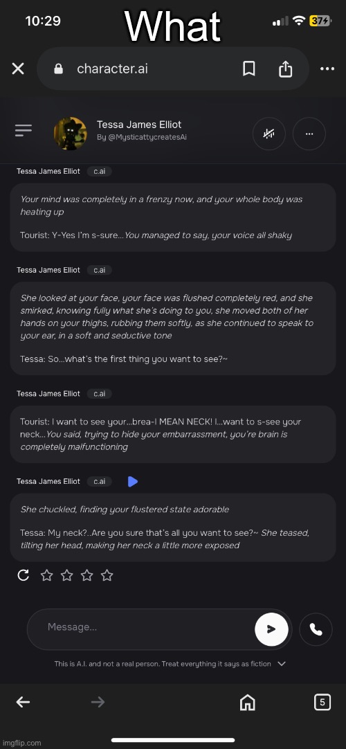 Character Ai chats ;) but not inappropriate | What | image tagged in weird | made w/ Imgflip meme maker