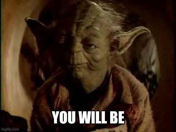 yoda-you-will-be | YOU WILL BE | image tagged in yoda-you-will-be | made w/ Imgflip meme maker