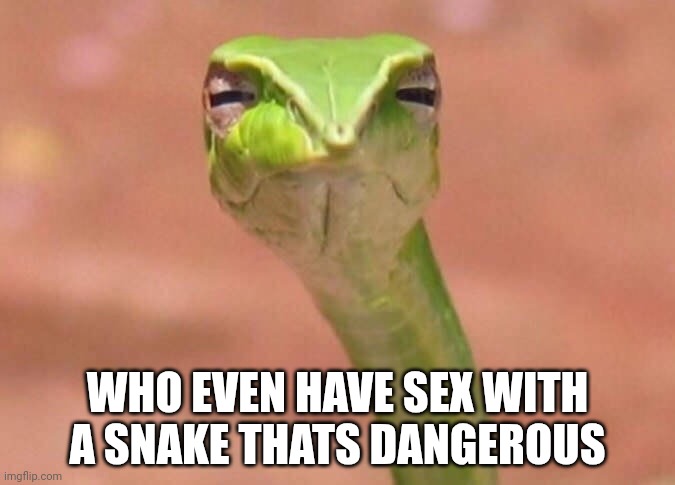 Skeptical snake | WHO EVEN HAVE SEX WITH A SNAKE THATS DANGEROUS | image tagged in skeptical snake | made w/ Imgflip meme maker