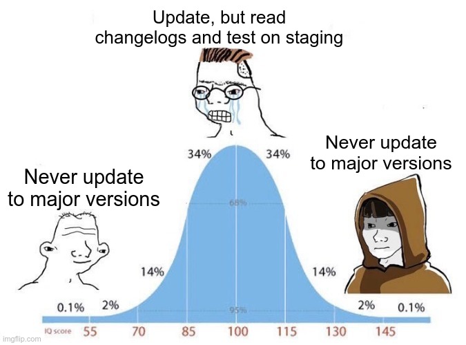 Bell Curve | Update, but read changelogs and test on staging; Never update to major versions; Never update to major versions | image tagged in bell curve | made w/ Imgflip meme maker
