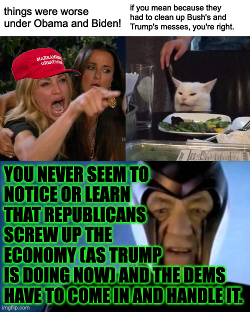 Face facts, buddies. | things were worse under Obama and Biden! if you mean because they had to clean up Bush's and Trump's messes, you're right. YOU NEVER SEEM TO
NOTICE OR LEARN
THAT REPUBLICANS
SCREW UP THE
ECONOMY (AS TRUMP 
IS DOING NOW) AND THE DEMS
HAVE TO COME IN AND HANDLE IT. | image tagged in memes,woman yelling at cat,you never learn | made w/ Imgflip meme maker